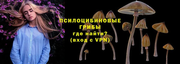 не бодяженный Осинники