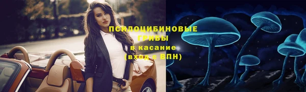 не бодяженный Осинники
