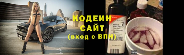 прущие грибы Пересвет