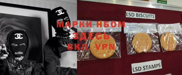 прущие грибы Пересвет
