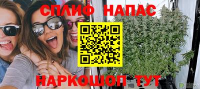 трава Краснодар