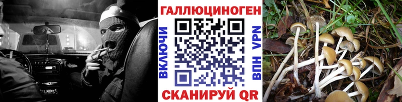 Галлюциногенные грибы прущие грибы  Советская Гавань 
