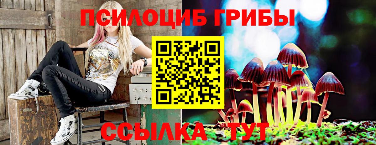 Советская Гавань  Галлюциногенные грибы мицелий  где купить наркотик  Вход с VPN 